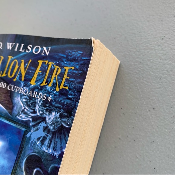 Dandelion Fire- Book2 of the 100 Cupboards- paper back by N.D Wilson - Picture 4 of 8